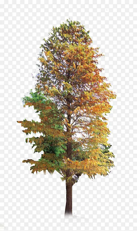 ��ɫ�������´���-������