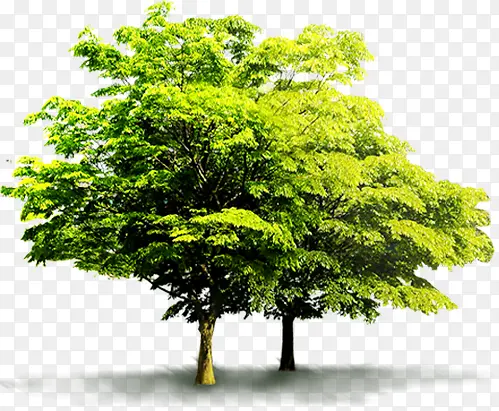 ����Ұ�⻷������-������