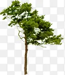 ������ɫ��������-������