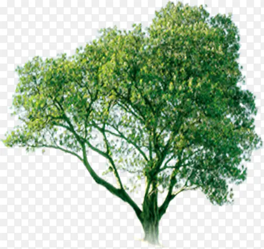 ����羰���۴���-������