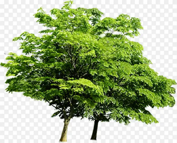 ������ɫ�羰����-������