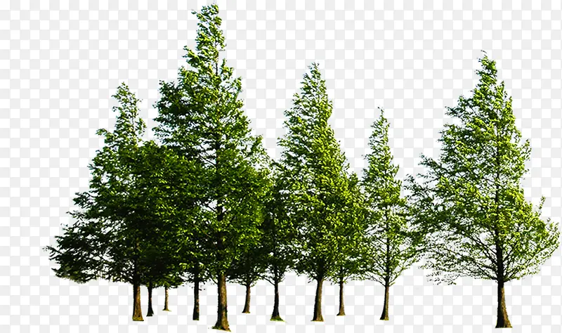 ������о��۴���-������