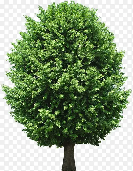 �������⾰�۴���-������