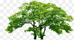 ����������ɫ����-������