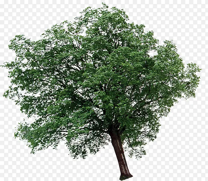 ��б������������-������