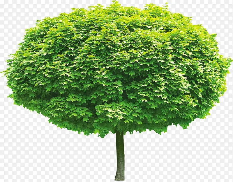 ��������̤�����-������