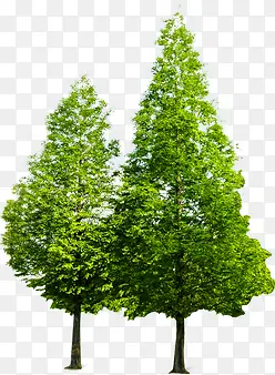 ����������ɫ����-������