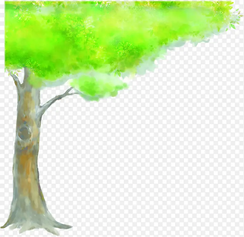 ��ɫˮ�ʴ������-������