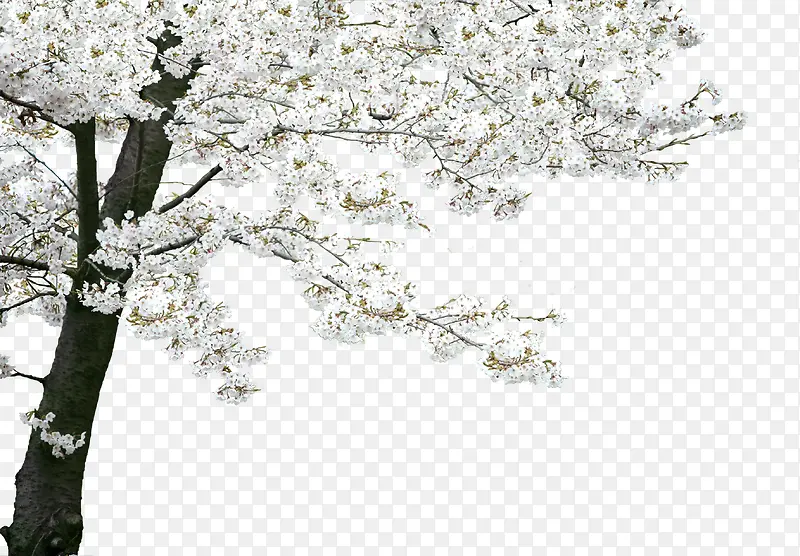 �������·�ɫ����-������