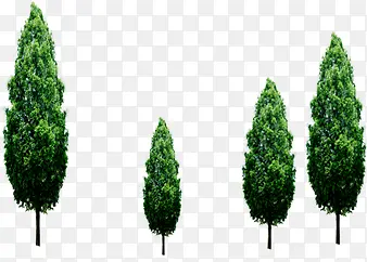 ��������ֲ�����-������