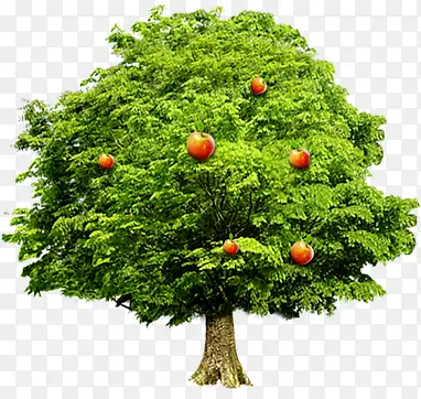 ��ɫ������������-������