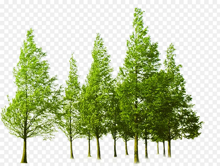 �������վ��۴���-������