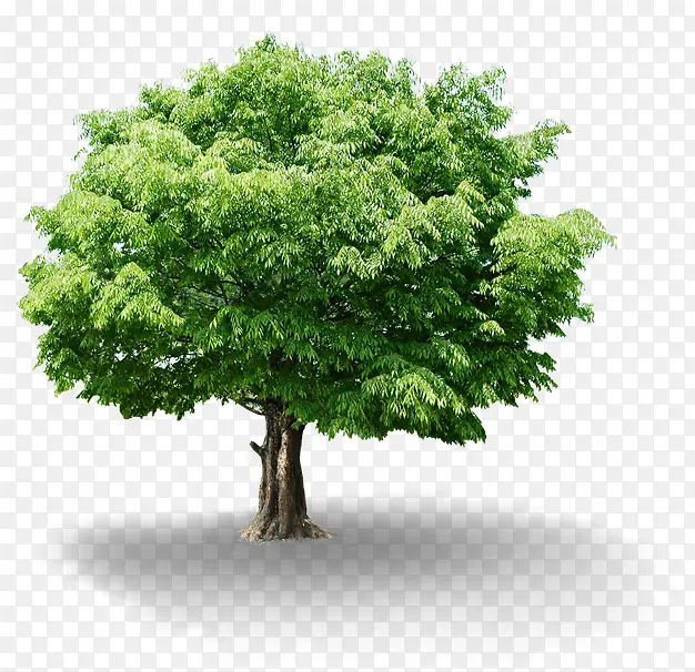 ��ɫ������ˬ����-������