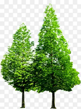 ��������ֲ�����-������