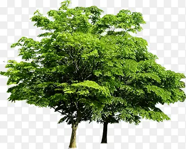 �������չ�԰����-������