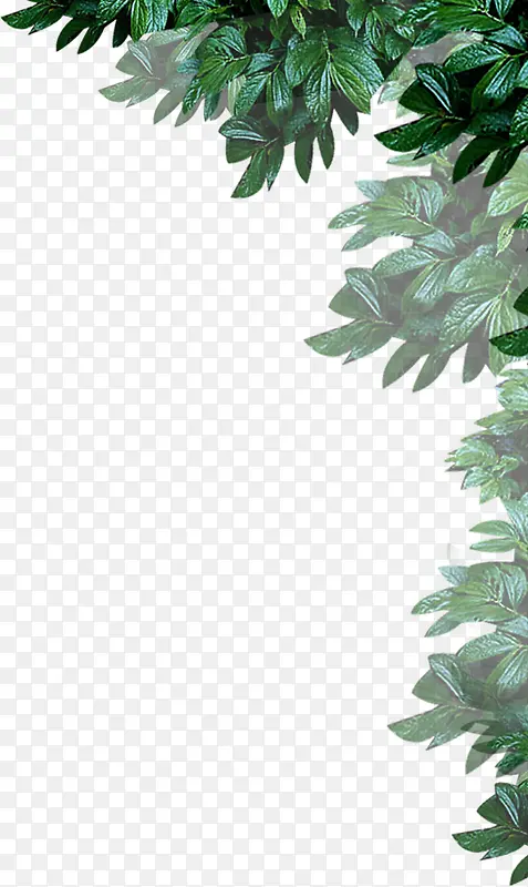 ��ɫ������Ȼ����-������