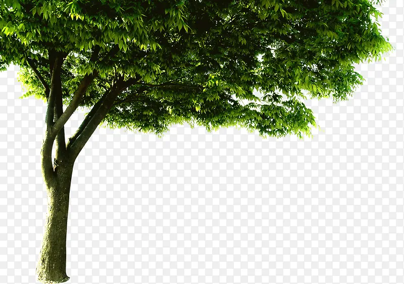 �������۹�԰����-������