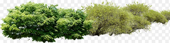 �������ֲ�����-������