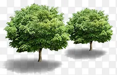 ��ӰЧ�����Ŵ���-������