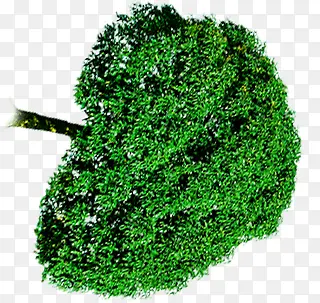 ��ɫ����������Ӱ�ϳ�Ч��-������