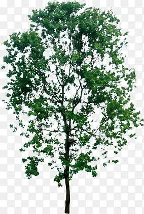 �����ļ�ֲ�����-������