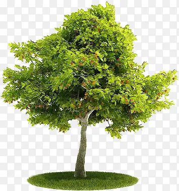 ��ɫ���´��ڴ���-������