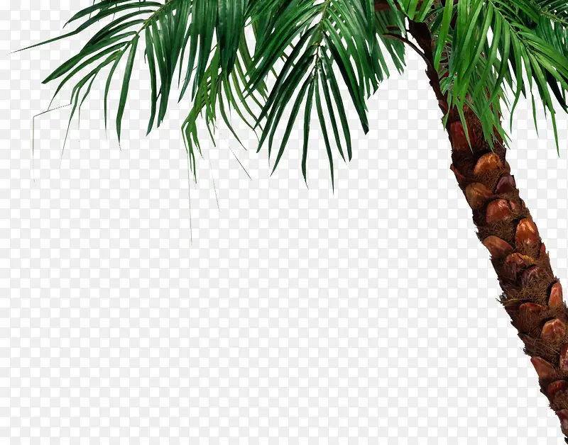 �ֻ��ȴ����ִ���-������