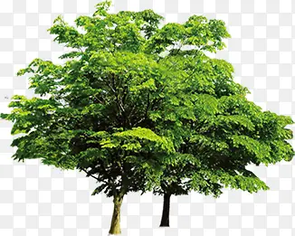 ���¾��۴�������-������