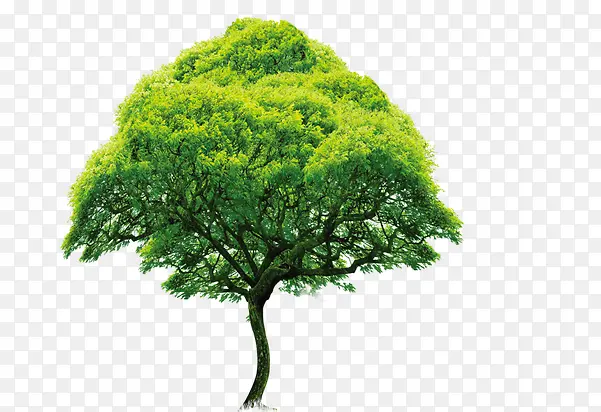 ���´������۴���-������