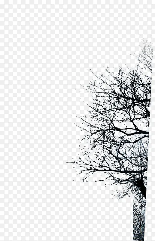 �ֻ��ɫˮī����-������