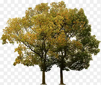 С���＾���۴���-������