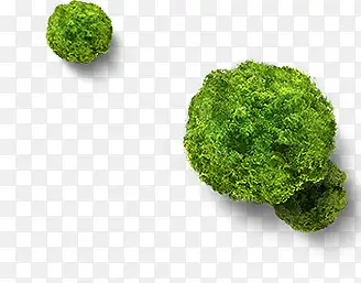 �ֻ�����Բ�δ���-������