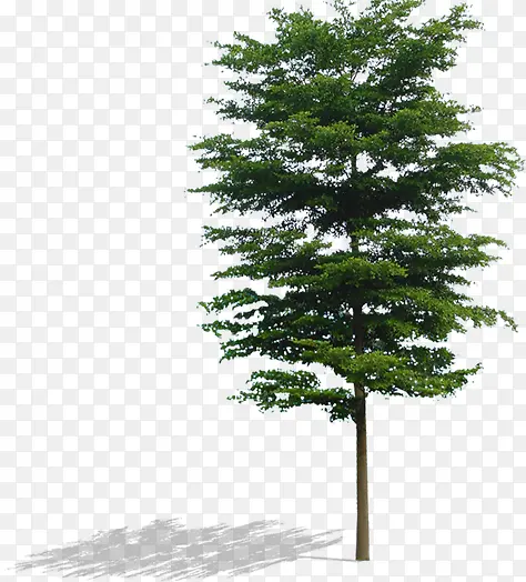 ��ɫ���������Ӱ����-������