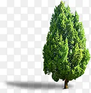 ��������Ұ�����-������