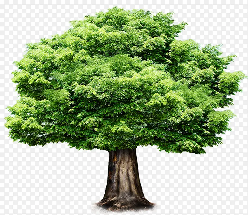 ���칫�溣������-������