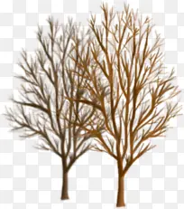 ���������ɫ����-������