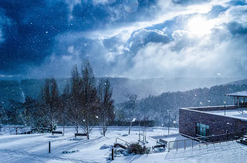 ����ѩ����������-������