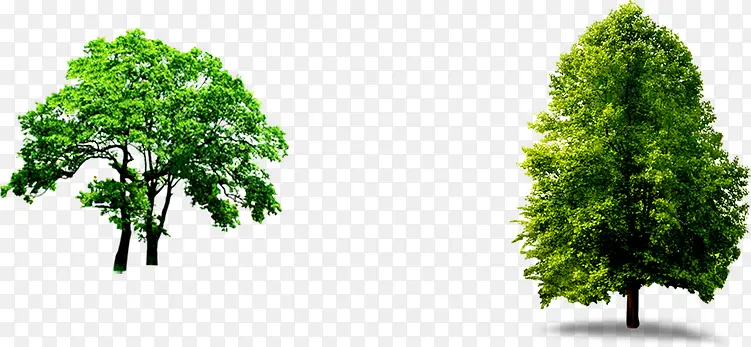 ���컷�����´���-������