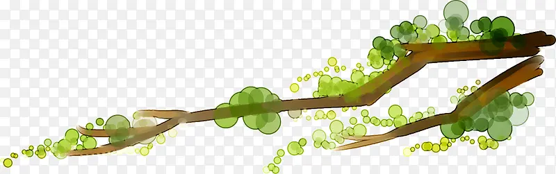 ˮ�ʺϳɴ�����֦Ч���ϳ�-������