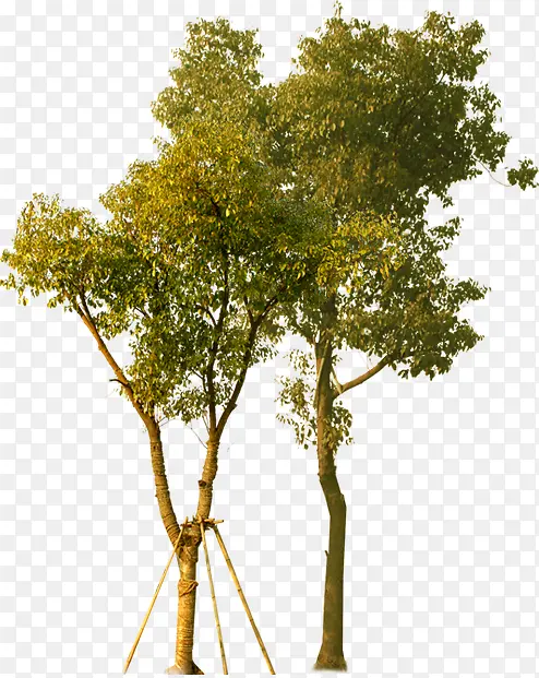 ��ɫС�����۴���-������