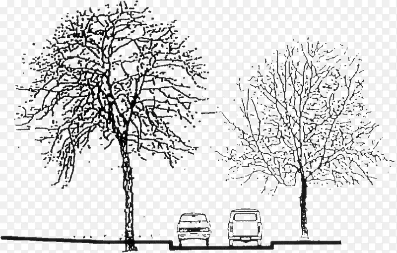 ��ɫ�ֻ��＾����-������