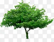 ����������������-������