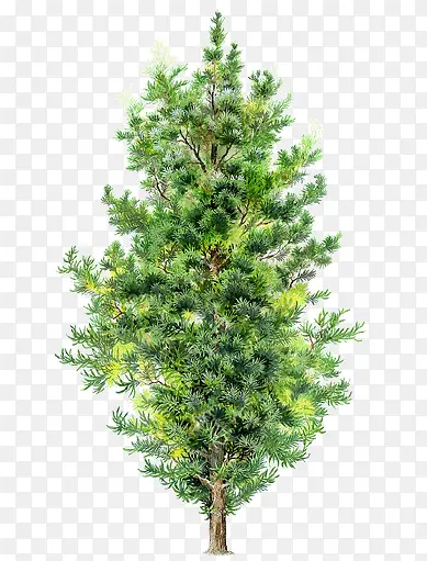 �ļ��ֻ����´���-������