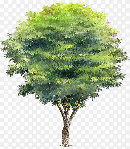 �ֻ��ļ�ï�ܴ���-������