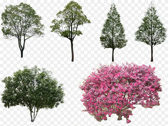 ��ɫ԰��ֲ�����-������