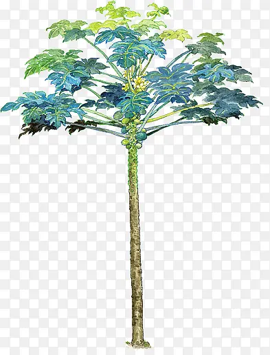 �ֻ���ɫ�ļ�����-������