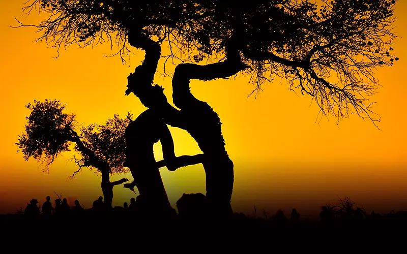 �ֻ洴���������-������