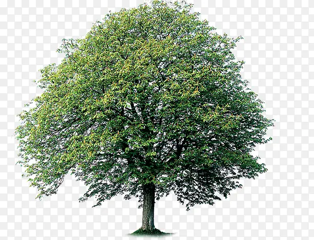 סլ԰���̻�����-������