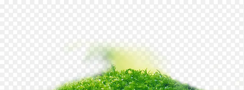 ��ɫ������������-������