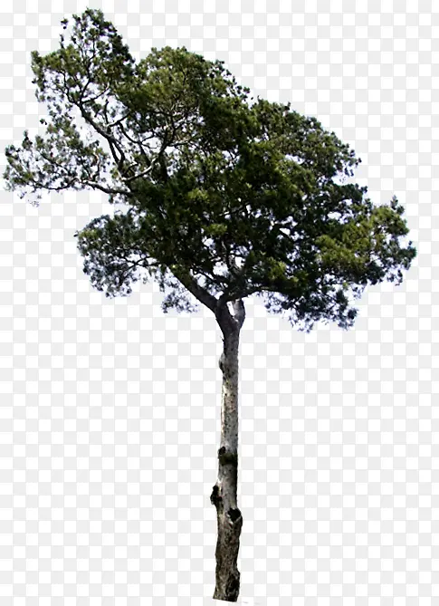 �ȼپ���װ�δ���-������